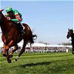 place grand national bet online